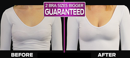 The strapless, backless, hookless boost bra is invisible under your clothes