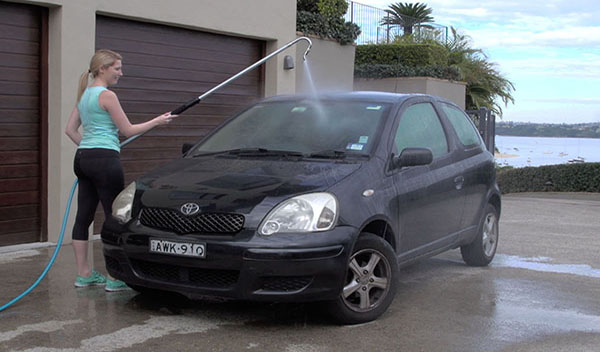 Gutter Cleaner