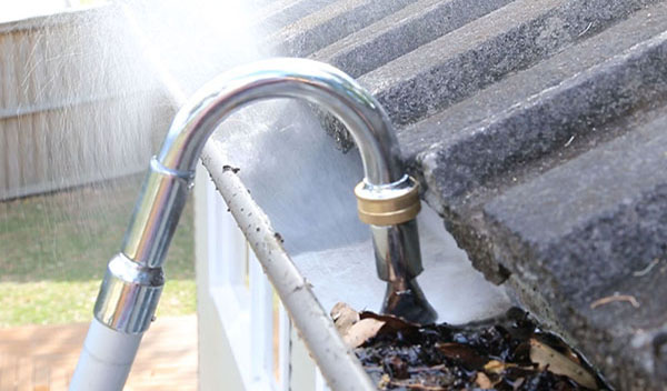 Gutter Cleaner