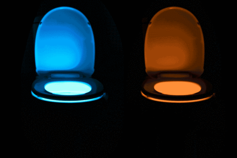 The incredible motion activated bathroom nightlight